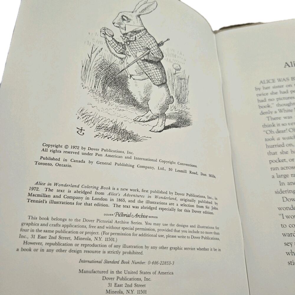 Alice in Wonderland Coloring Book and Story 1972 Vintage Illustrated Paperback - Picture 3 of 5